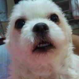 연뮤덕
대극장선호, 다작러, 회전초보