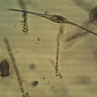 Oceanography (@_oceanography) 's Twitter Profile