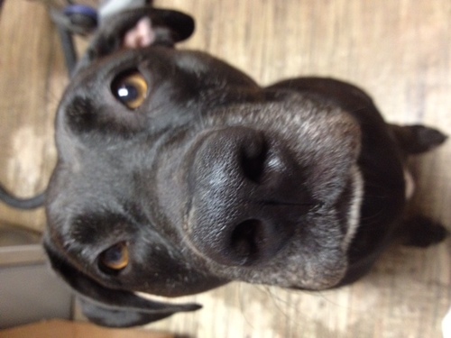 brianhollars1's profile picture.