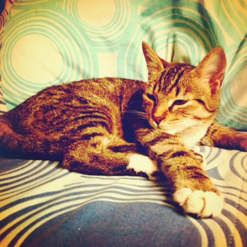 UguiMonge's profile picture. 