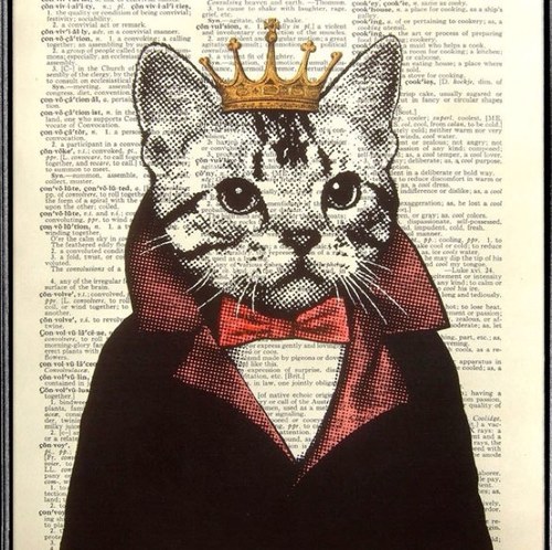 coolcattweets_'s profile picture. #teamcoolcat