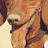 danielksparkes's profile image