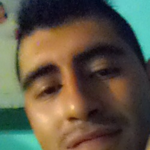 balooliar's profile picture. 