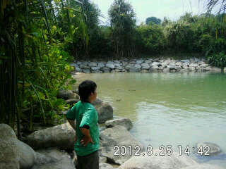 hendy_tandi's profile picture. InformationSystem'13 UMN