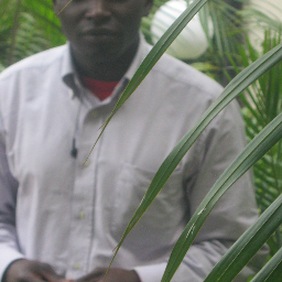 kamadiamata's profile picture. Editor at  https://t.co/IV0573Z9IS
contact me kamadiamata@gmail.com