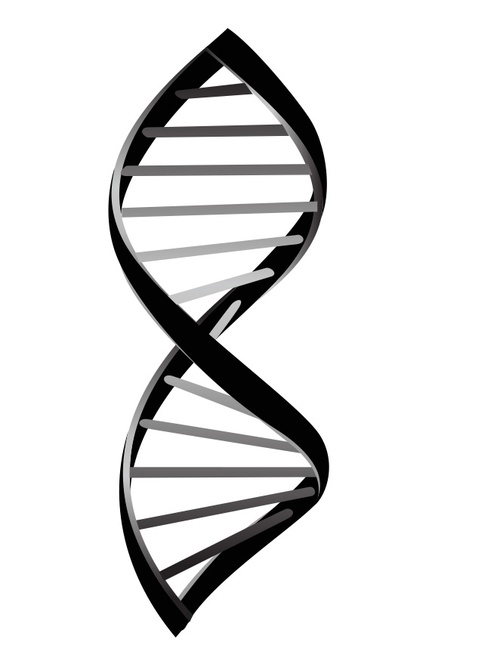 BioTechPosting's profile picture. Biotechnology Classifieds Website.  Post/search jobs, equipment, resumes and discuss topics.