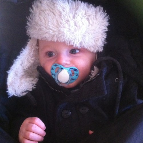 cocknose83's profile picture. Proud dad, singleply roofing genius,boxing fan, and a fan of egg n chips