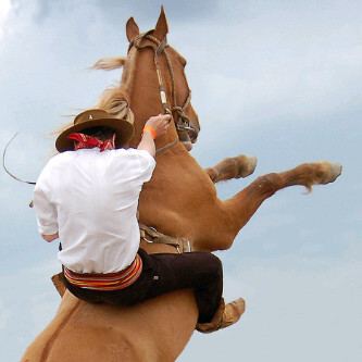 فتاة بسيطه ..أعشق ديني ، أمي ، وٰطني ..♡  طالبه بجامعه الملك فيصل ♥                        يآرب رضآك وٰالجنهہ.♬.