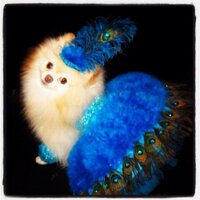 Gab De Lioncourt (@gabdelioncourt) 's Twitter Profile Photo