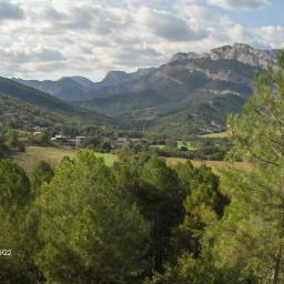 imentruit's profile picture. Periodista en Mundo Deportivo desde 1984