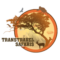 Transtravel Safaris(@Ttranstravel) 's Twitter Profile Photo