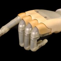 Prosthetic Limb (@prostheticlimb) 's Twitter Profile