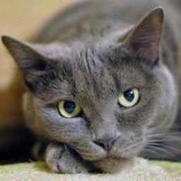 ByungminHeo's profile picture. 