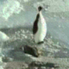 Eleven_ww's profile picture. よろしく！！(｀・ω・´)