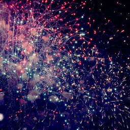 rhkrtkdals's profile picture. 