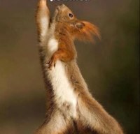 funnystuffdudes's profile picture. i follow back