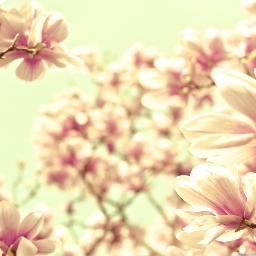 talalmayo1's profile picture. الذهب يبقى ذهبا