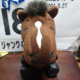 最近、競馬場から足が遠退きつつあります。抽選は何とかならんものかねぇ‥と思いつつ、最近後楽園ホールに出没するおっちゃん。