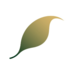 SaharaForestProject (@saharaforestpro) Twitter profile photo SaharaForestProject (@saharaforestpro) Twitter profile photo