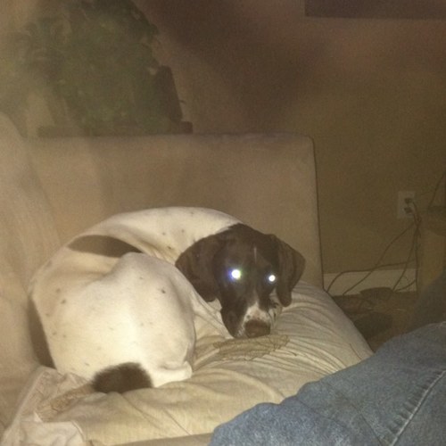 JSpandl's profile picture. 