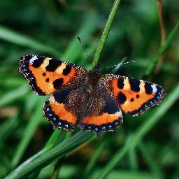 Photo__A__Day's profile picture. I upload a photo daily from my best captures.
Will Laverton Artist/Photographer