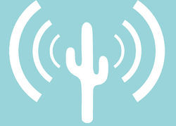 The Phoenix Meshnet project is an effort at building the physical infrastructure to use CJDNS as well as serving as the R&D leader for other Meshnet communities