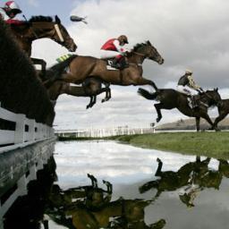 Racing Analyst; Longshots ONLY; Guaranteed Profit! Cheltenham Specialist #LSP