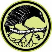 Ravenview (@ravenviewart) 's Twitter Profile Photo