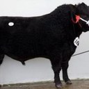 james frederick - @jamesfrederic13 - Twitter