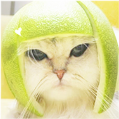 aunnnG Profile Picture