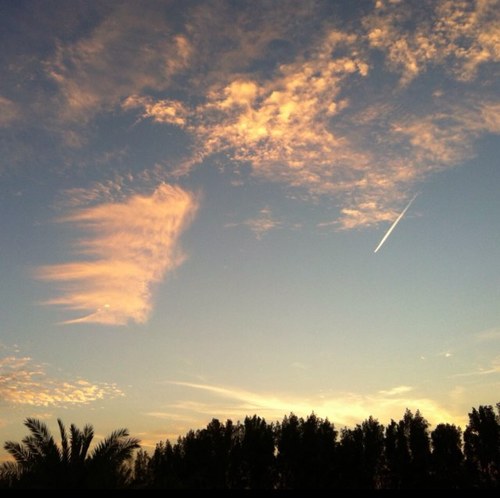 Hadi906Hwsra8's profile picture. 🇰🇼