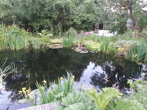 BrendaButler8's profile picture. Grace's http://mum. Scheme Manager for Home-Start Erewash. A believer in young people.