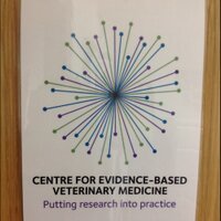 CEVM (@cevetm) 's Twitter Profile