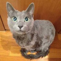 aixxxx (@aixxxx) 's Twitter Profile