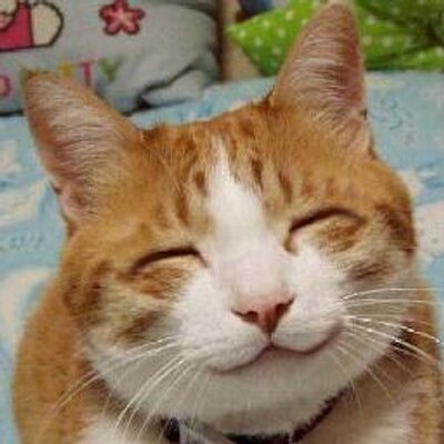 わろたなコピペ On Twitter 死ね とか 殺す とか命に関わることを簡単に口にしちゃダメだ 本当にその人が死んでしまったらどうするの きっと君も悲しいはずだよ つい最近もクラスの女子が マジあいつキモいし死ねばいいのに とか言ってたけど俺の悪口