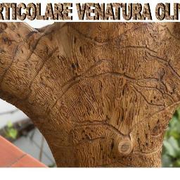 RenzoBonelli1's profile picture. 