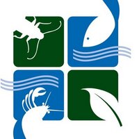 Invading Species (@invspecies) 's Twitter Profile Photo