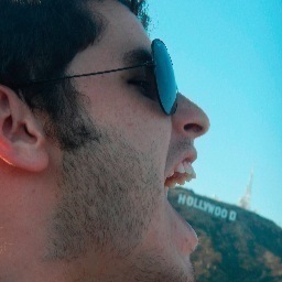 This is the life we belong to..