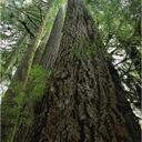 stuart daniel polley - @dakmen - Twitter