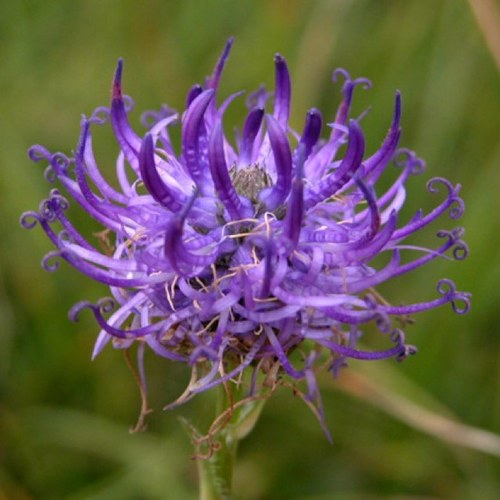 A partnership dedicated to securing the value of nature in Sussex