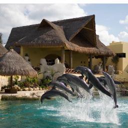 kulsum8's profile picture. 