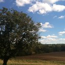 Ann McKenzie - @AMcKD - Twitter