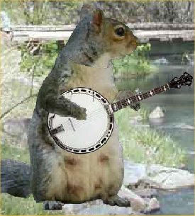 im just a squirrel trying to have fun.... #YOLO