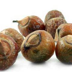 Soapnuts are naturally grown on trees.They are widely known in Asian  as natural products to wash clothes, to wash the dishes, and to make natural shampoo.