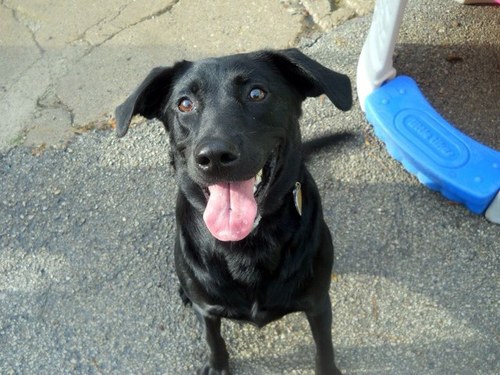 mjweavs's profile picture. 