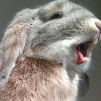 Ross Finlayson (@rossmfinlayson) 's Twitter Profile