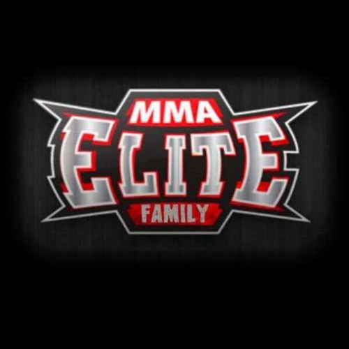 Without you (The Fans) we are nothing #TeamMMAElite  Come join us at: http://t.co/qGdahbYsWN