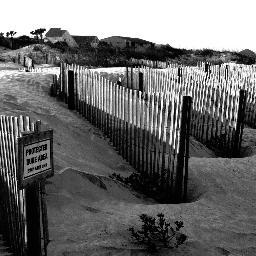 tk_hyatt's profile picture. Limited Edition