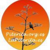 LaPiterita.es (@lapiterita) 's Twitter Profile