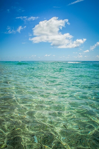 sjioo142's profile picture. 